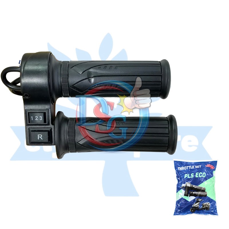 EV Throttle (PLS 123+R) (0b79)