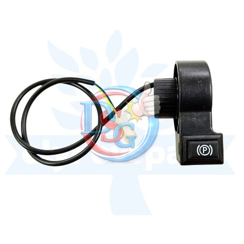 TROTL SWITCH [TS1 PARK] (0102)